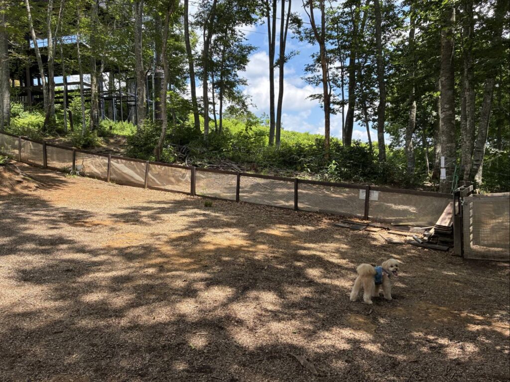白馬岩岳マウンテンリゾート犬連れドッグラン