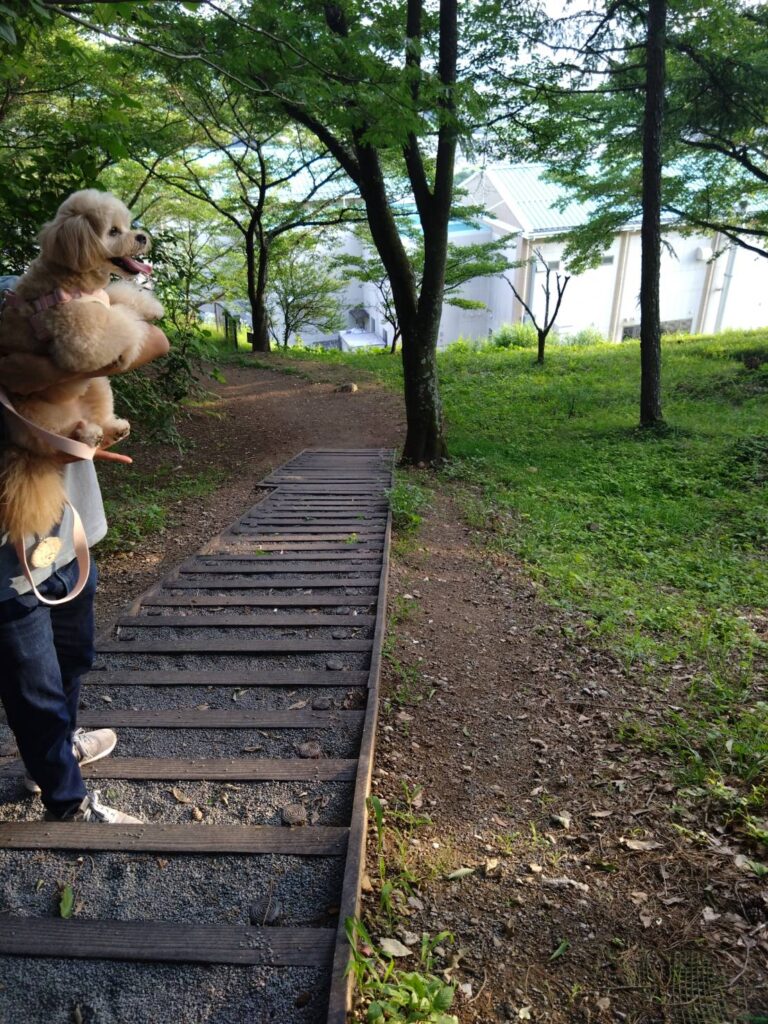 佐久平PA犬連れ