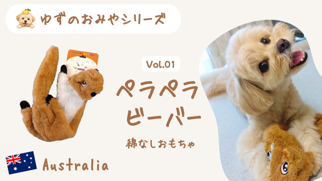 オーストラリア犬土産