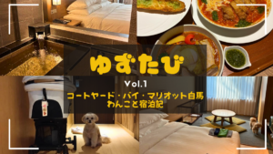 ゆずたびコートヤード・バイ・マリオット白馬 犬連れ